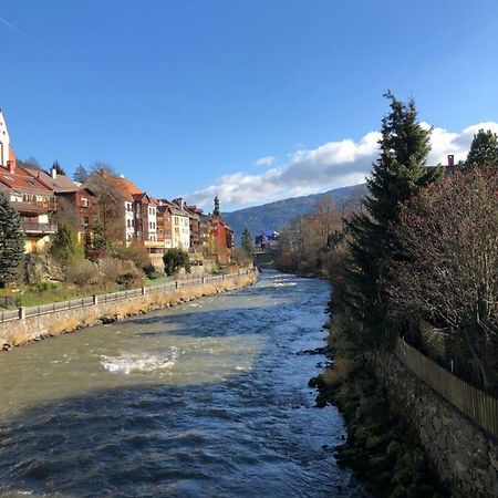 Witrich Apartman Daire Murau Dış mekan fotoğraf
