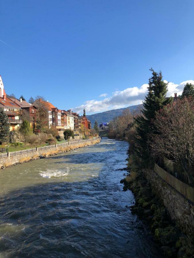 Witrich Apartman Daire Murau Dış mekan fotoğraf